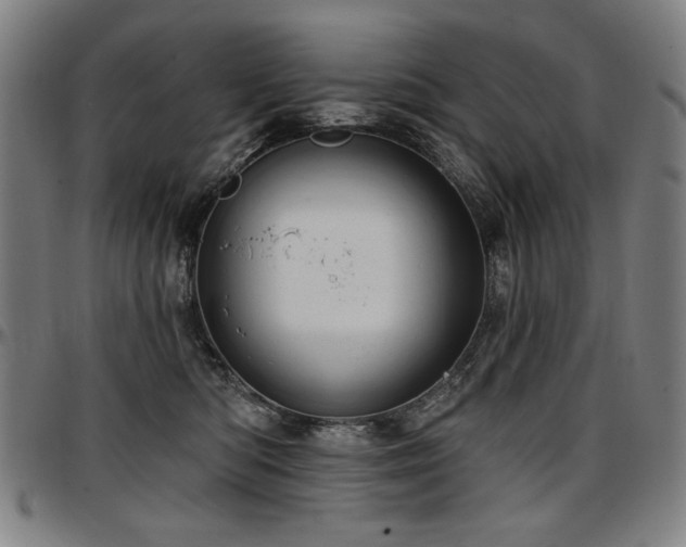 X0000097630422200802291345
