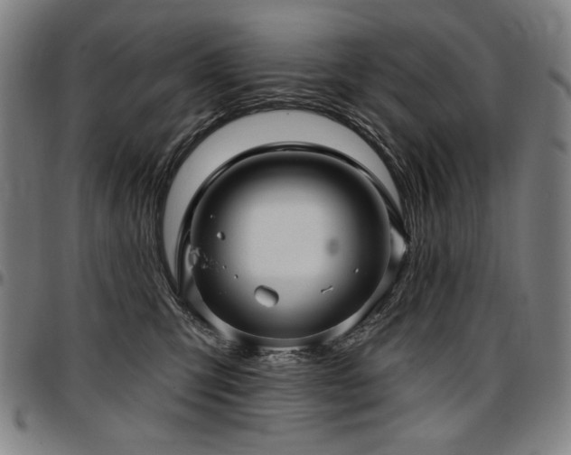 X0000097630423200802291345