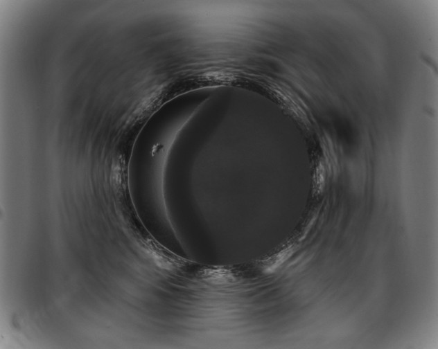 X0000097630424200802291345