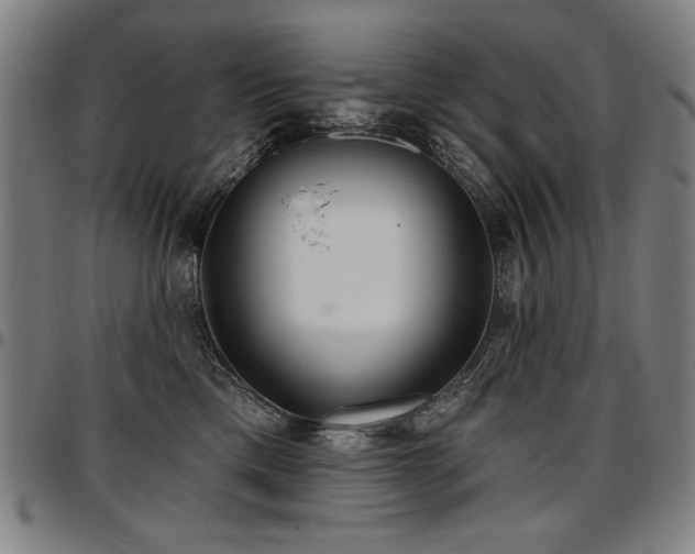 X0000097630425200802291345