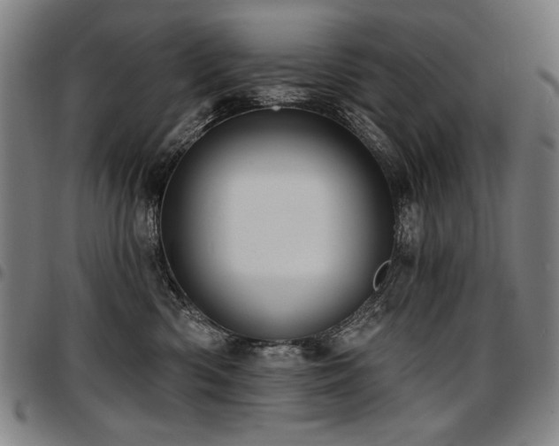 X0000097630426200802291345