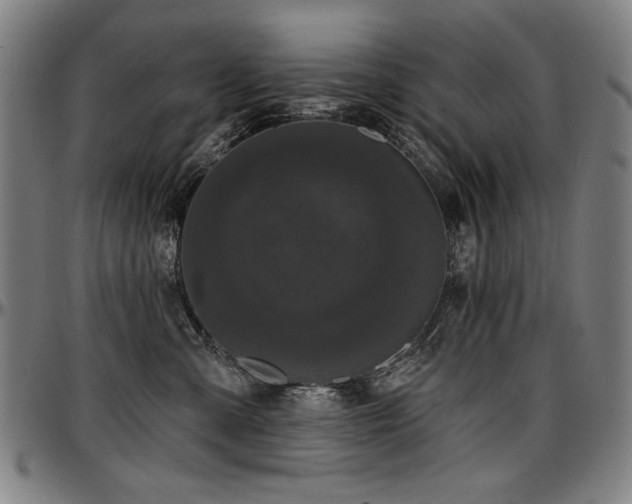 X0000097630427200802291345