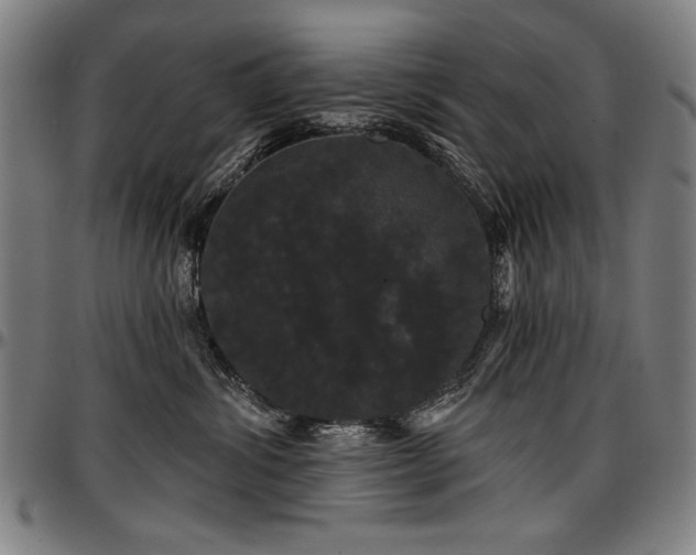 X0000097630428200802291345