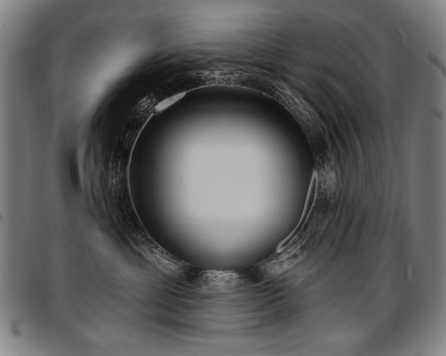 X0000097630429200802291345