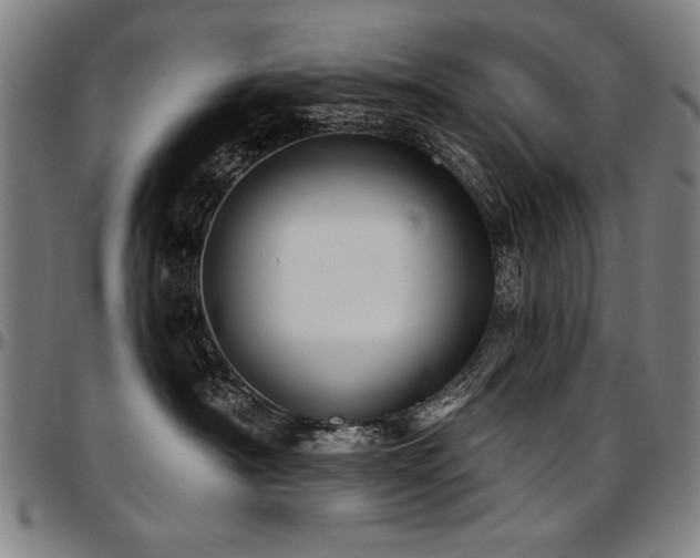X0000097630430200802291345