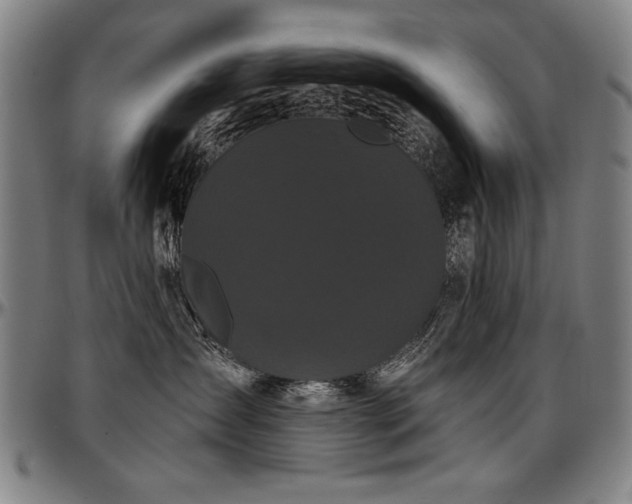 X0000097630431200802291345