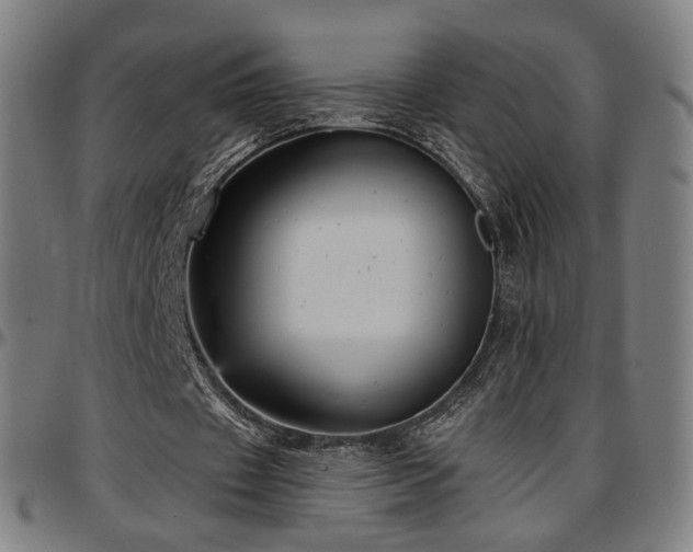 X0000097630433200802291344
