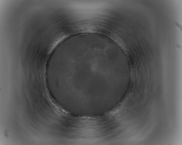 X0000097630434200802291344