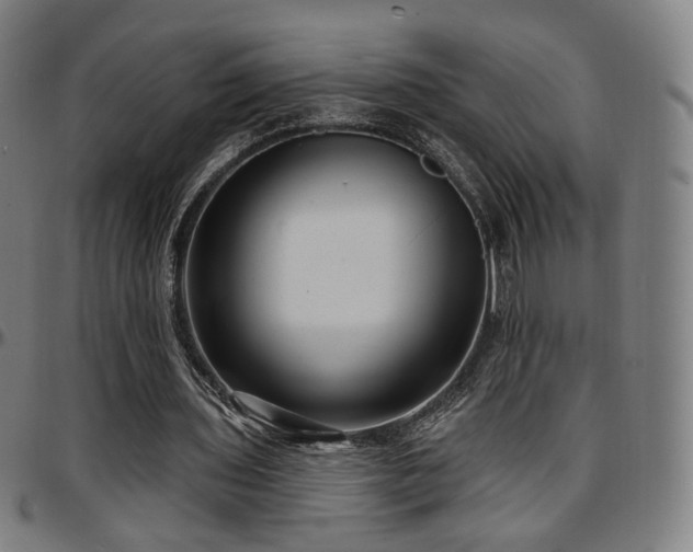 X0000097630435200802291344