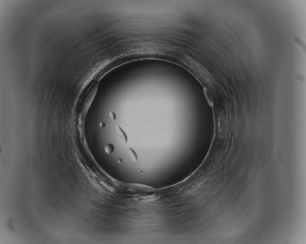 X0000097630436200802291344