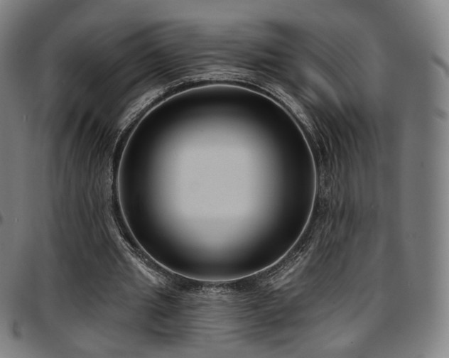 X0000097630437200802291344