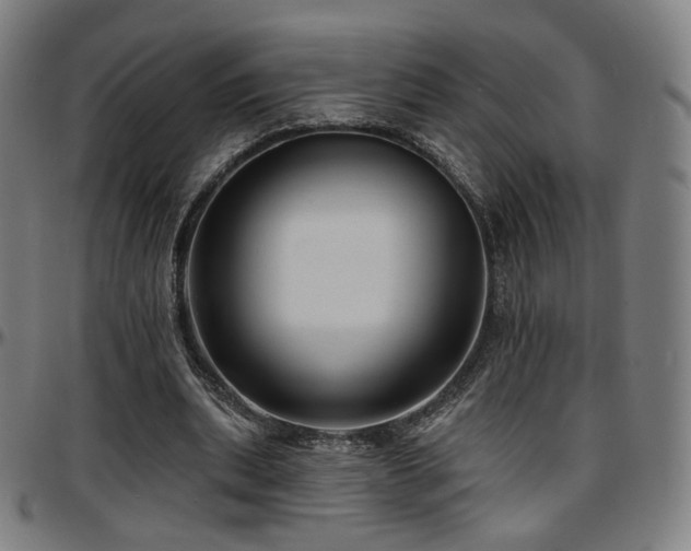 X0000097630439200802291344