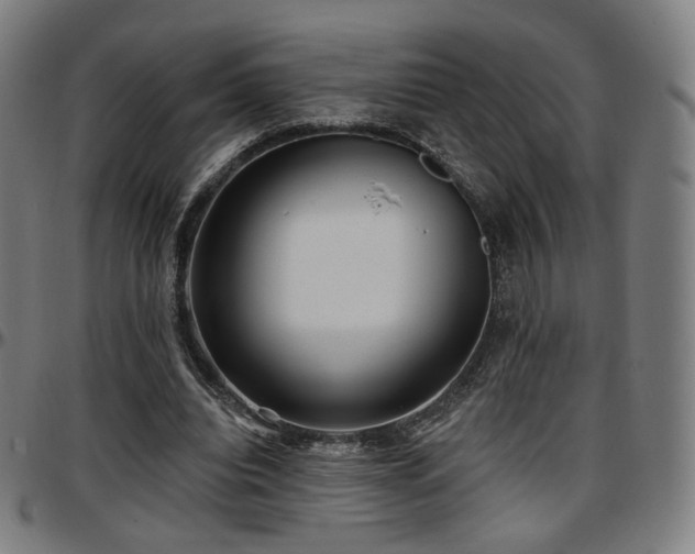 X0000097630440200802291344