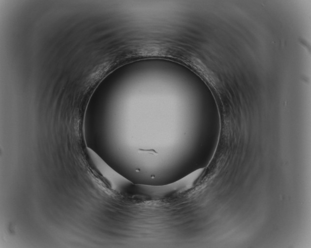 X0000097630441200802291344
