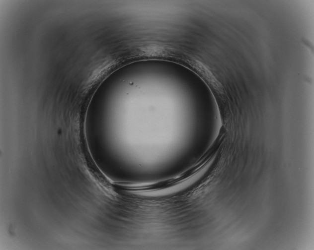 X0000097630442200802291344