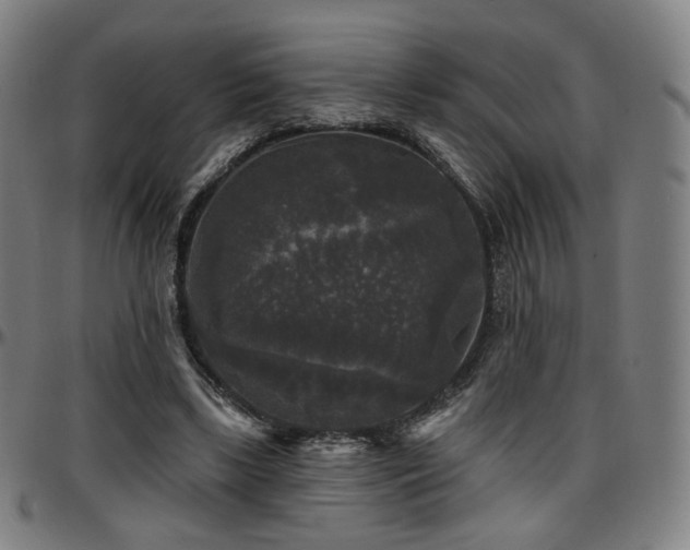 X0000097630443200802291344