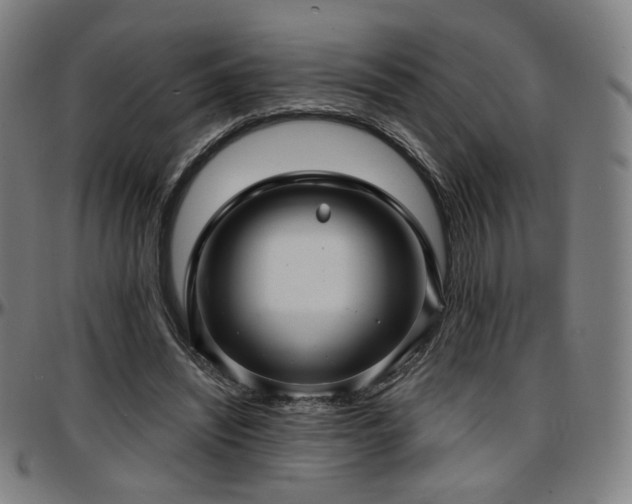 X0000097630444200802291344