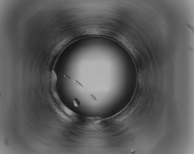 X0000097630445200802291344