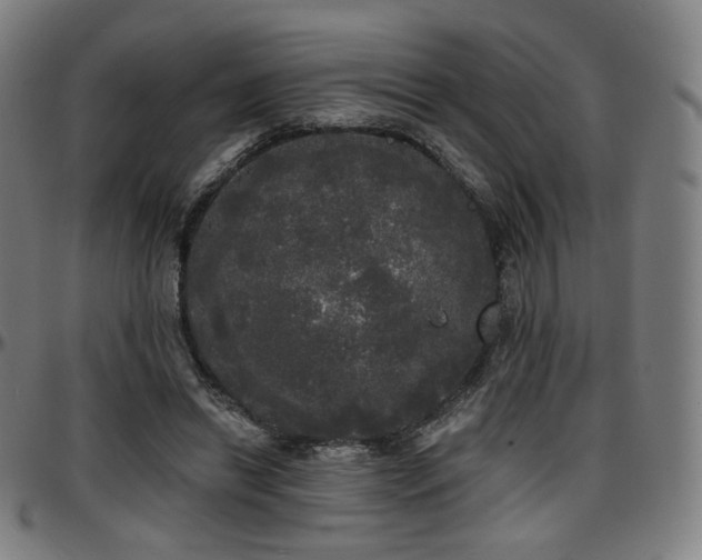 X0000097630446200802291344