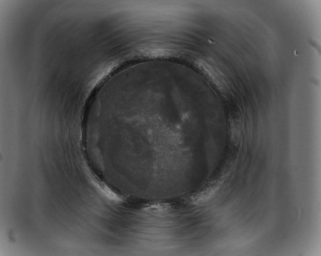 X0000097630447200802291344