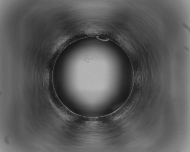X0000097630448200802291344