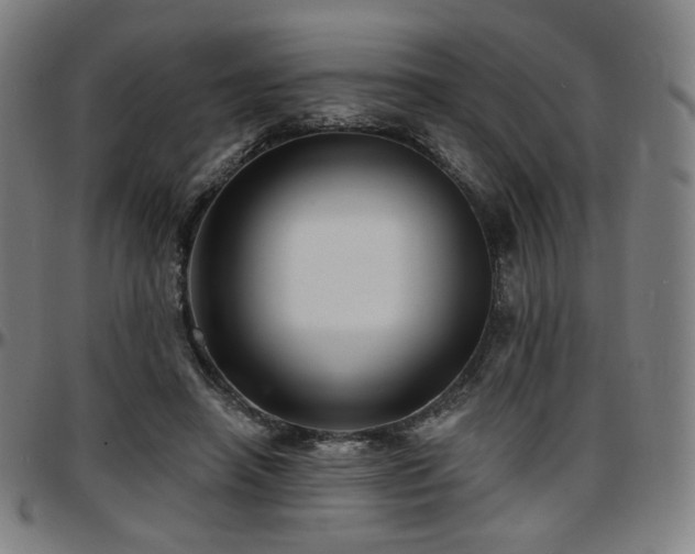 X0000097630450200802291344