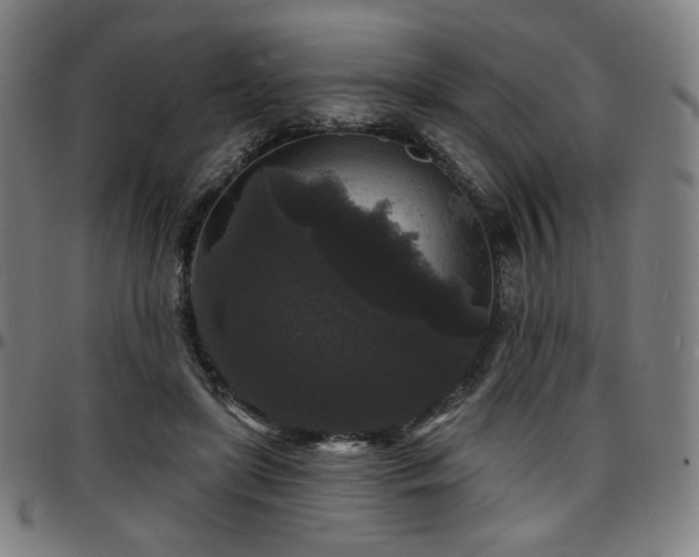 X0000097630451200802291344