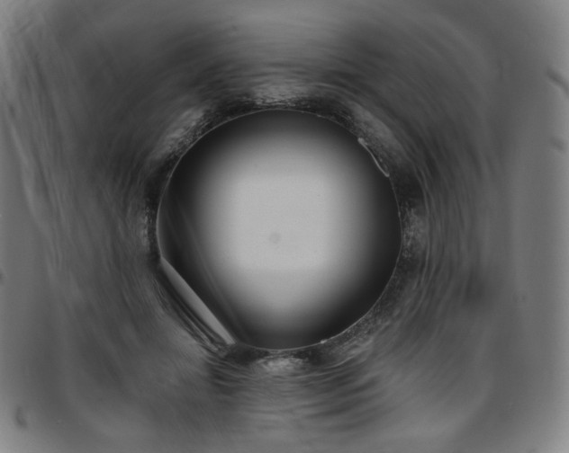 X0000097630452200802291344
