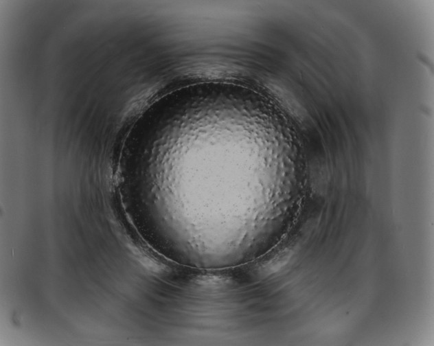 X0000097630453200802291344