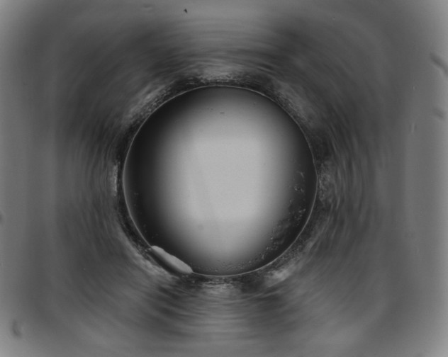 X0000097630454200802291344