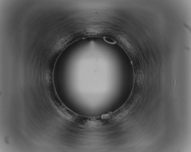 X0000097630455200802291344