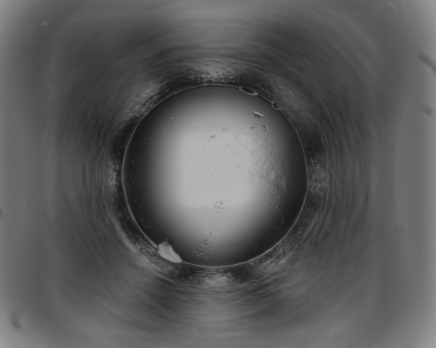 X0000097630456200802291345