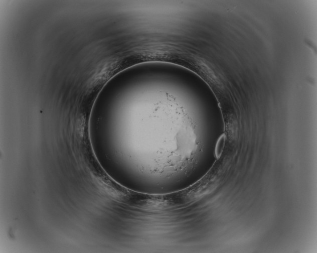 X0000097630458200802291345
