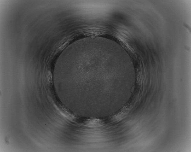 X0000097630459200802291345
