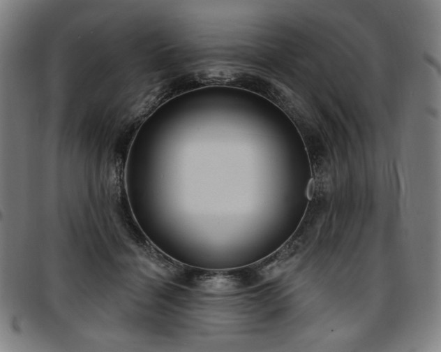 X0000097630460200802291345