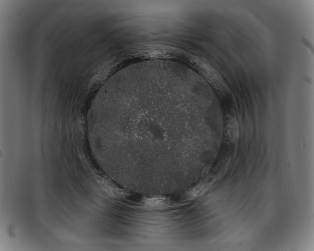 X0000097630461200802291345