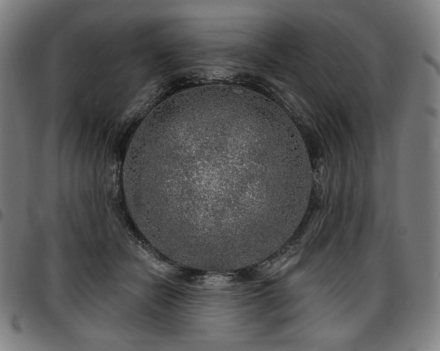 X0000097630462200802291345