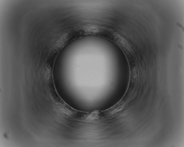 X0000097630463200802291345