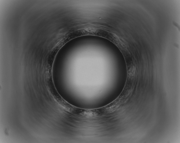 X0000097630464200802291345