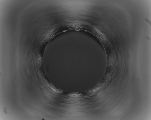 X0000097630465200802291345