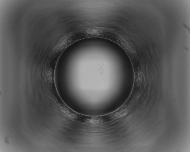 X0000097630466200802291345