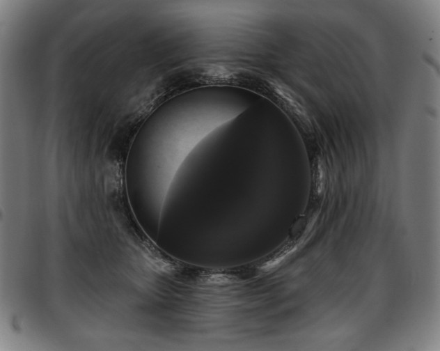 X0000097630467200802291345