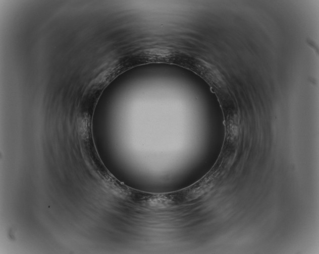X0000097630468200802291345