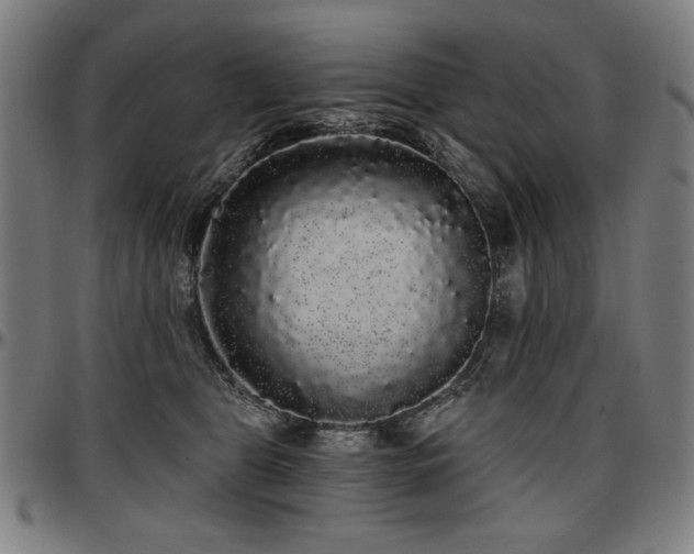 X0000097630469200802291345