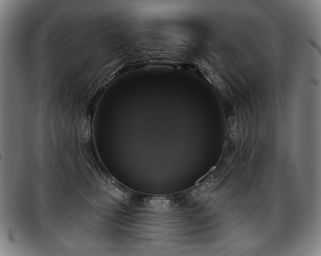 X0000097630471200802291345
