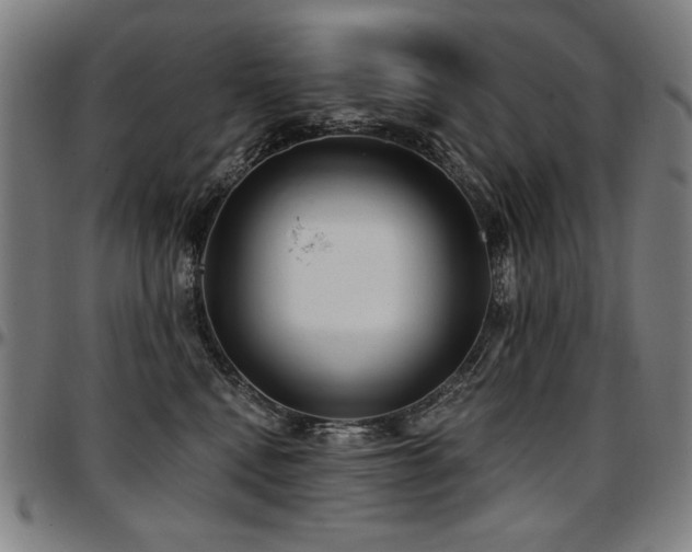 X0000097630472200802291345