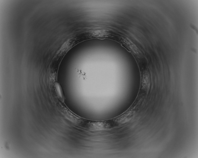 X0000097630473200802291345