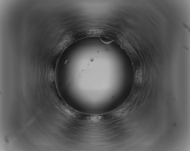 X0000097630474200802291345