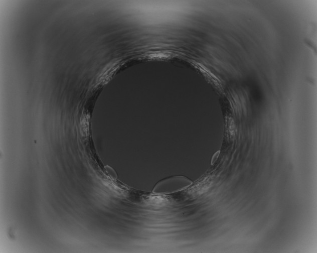 X0000097630475200802291345