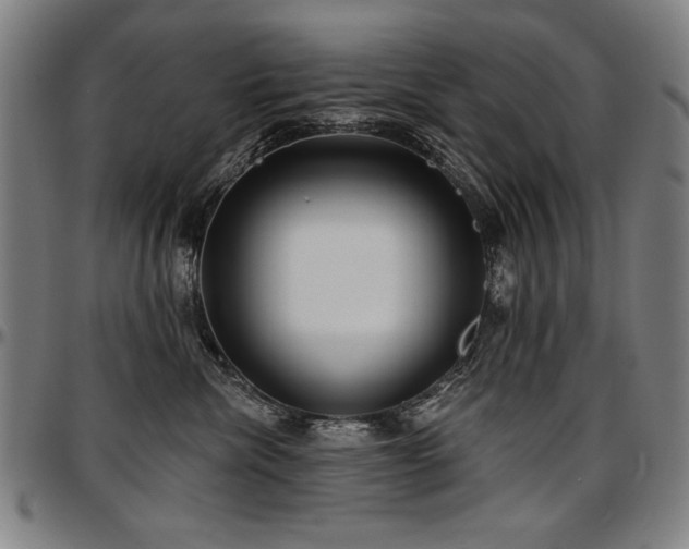 X0000097630476200802291345